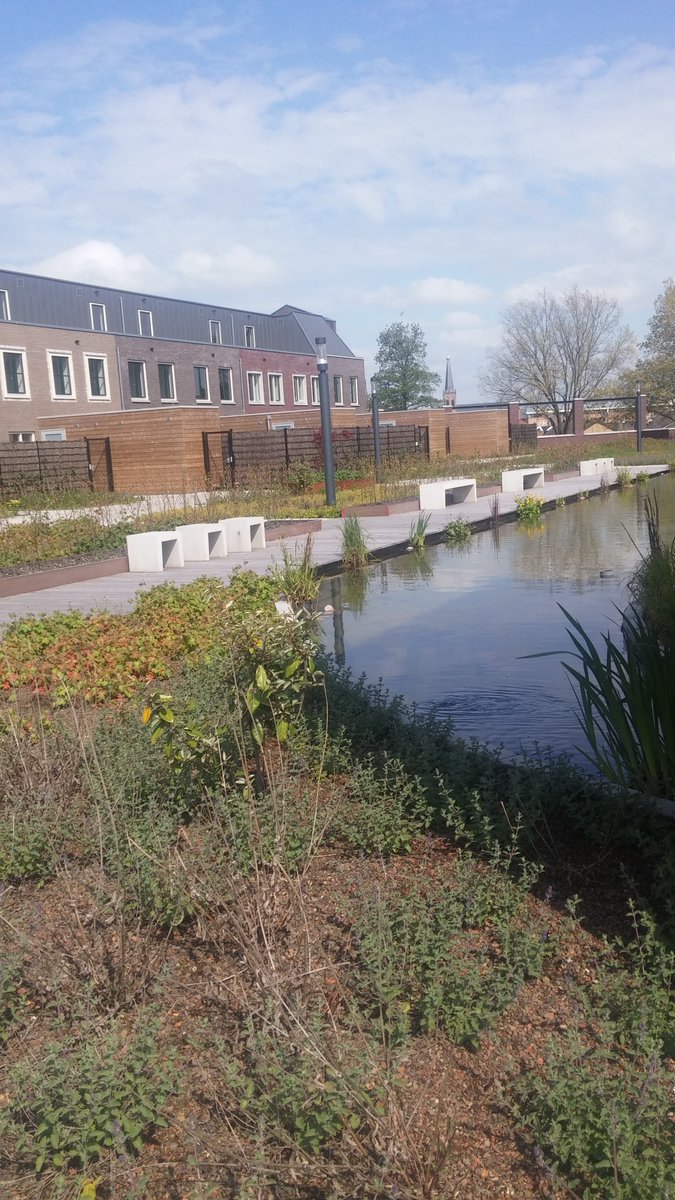 Iseldoks_Wonen's tweet photo. Alvast voor de agenda, #inloopdag 3 juni, tussen 11.00 en 12.30 uur, https://t.co/WmVjZRZfrB, #Doetinchem https://t.co/jUZxju4UKx