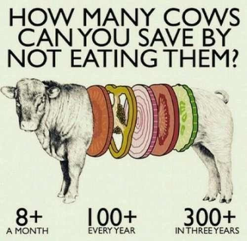 The_GreenBoat's tweet photo. Be conscious!! 
#goveggie #govegan #dosomething #healthyfood #animalslovers #blog #beinpeace #donoteatthem https://t.co/zWwWSkZn4t