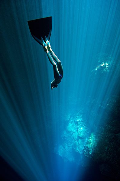Sophia Ponce, a 22-year old from Mexico, holds the #worldrecord for deepest #scubadive ever done in a salt water ow.ly/WWAV30bsi7n
