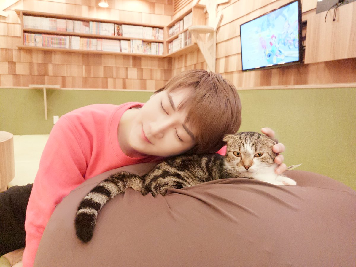 BaoziHana's tweet photo. Happiness ☺️😌 https://t.co/OgwRDLCB3k