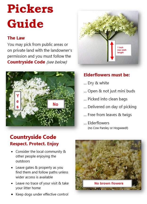 The #sun is shining, #summer is here &amp; the #elderflower is in full bloom ... WE'RE NOW OFFICIALLY OPEN!! Pickers Wanted!  #Herefordshire RT!