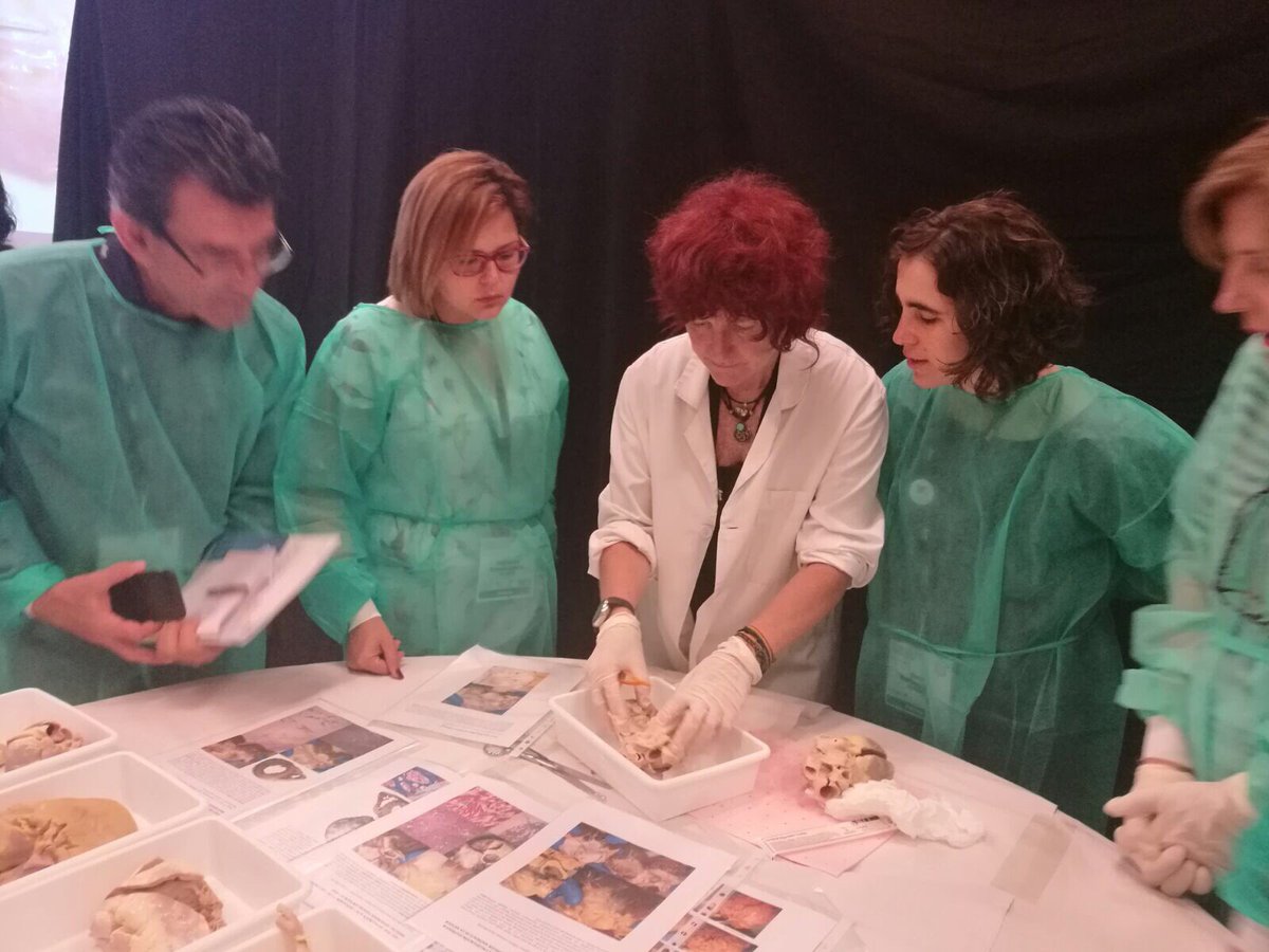 steland011's tweet image. Cardiac dissection workshop #Autopsy #SEAP2017V