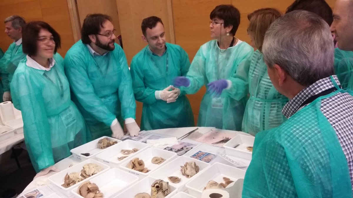 DraEosina's tweet image. La Dra. Sancho ha organizado un taller práctico de disección cardiovascular espectacular. #SEAP2017V #GrossPath #CardiacPath