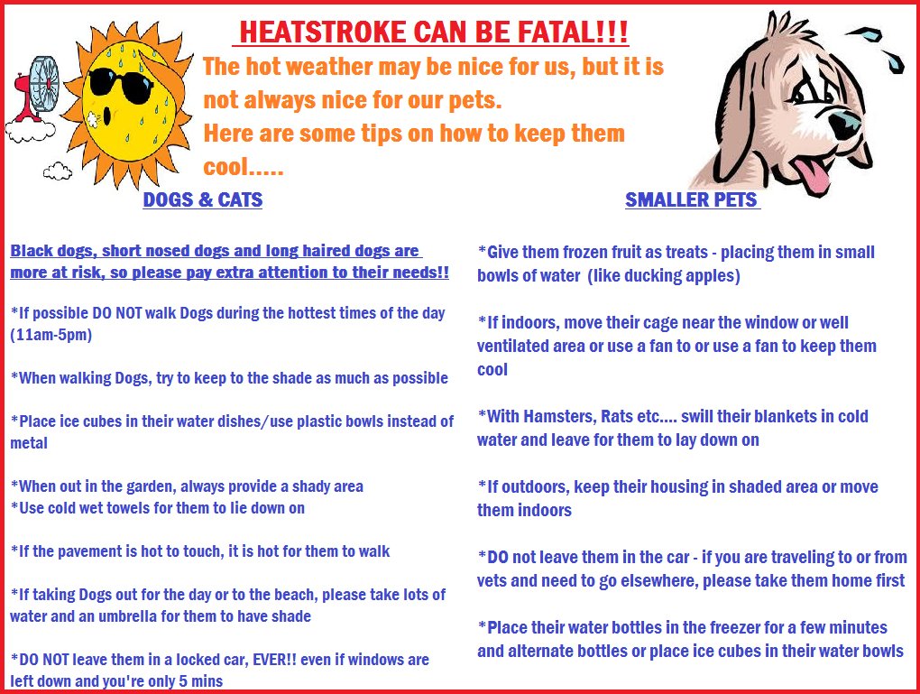 Here are some tips on how to keep your pet cool in this hot weather #summer #petcare <a href="/RSPCAcymru/">RSPCA Cymru</a> @GoodVetGuide <a href="/pet_collective/">The Pet Collective</a>