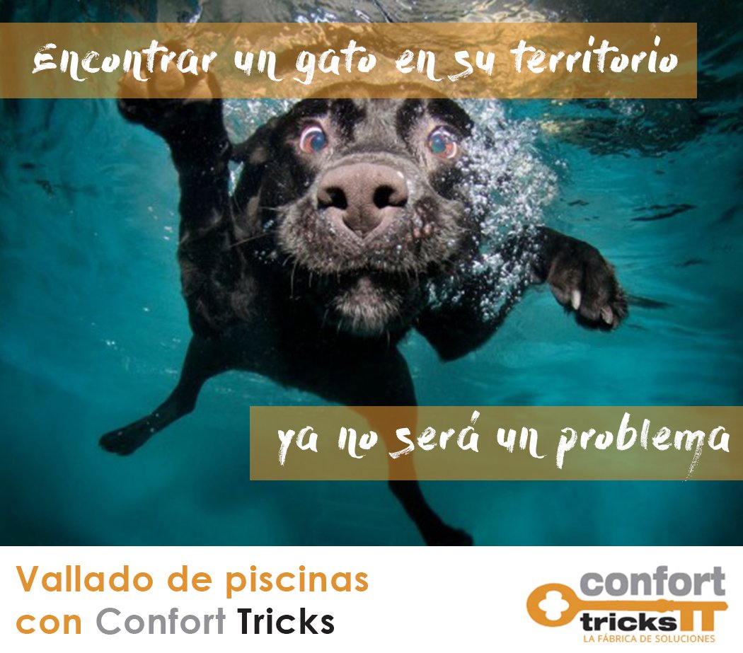 ConfortTricks tweet picture