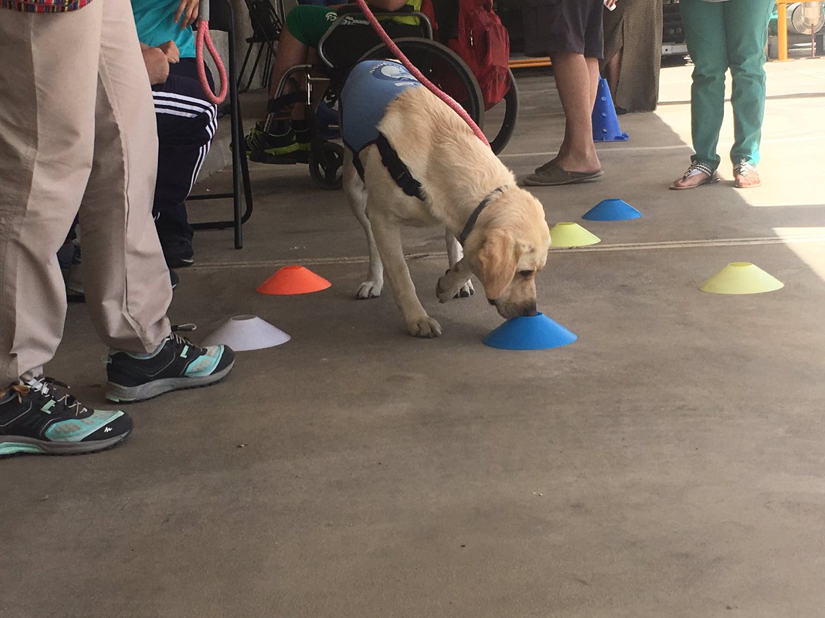 Nuestra detective en la ciudad de los perros #vida #DCA #Polibea