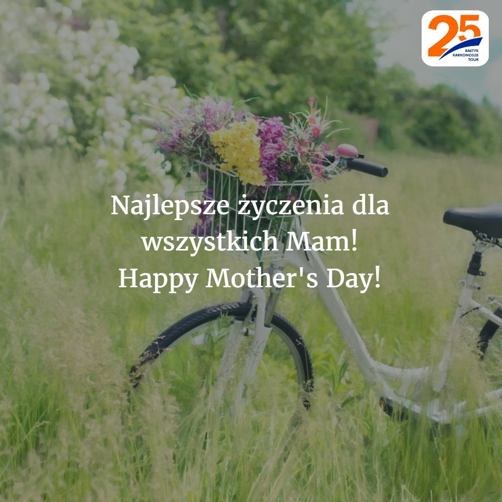 🌺🌸🌷🌻🌹💐🌸