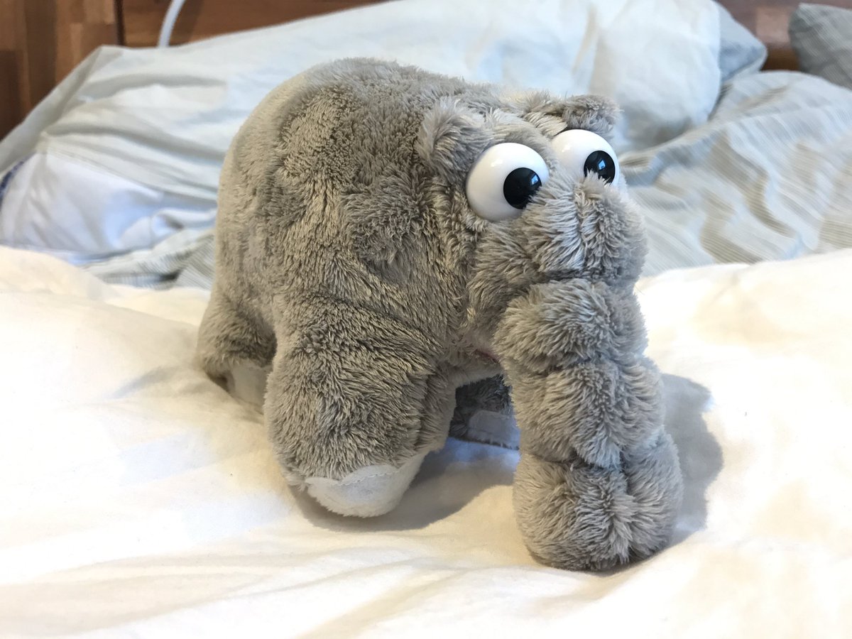 Man ist nie zu alt für ein #Ottifant
Wenn die Eltern aus dem Urlaub ein Geschenk aus dem #Ottohuus aus Emden mitbringen <a href="/OTTOausE/">Otto Waalkes</a>