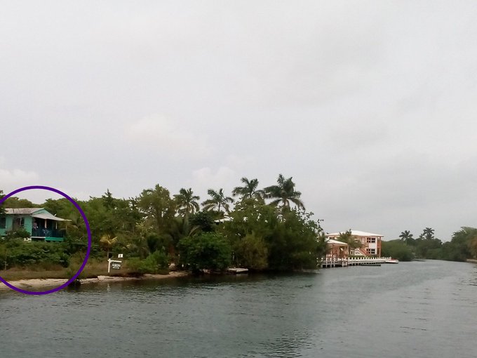 I love this place so much, feel surrounded by life here https://t.co/3wh0vEHsvS<a href="/tag/femdom"class="tags"><span>#femdom</span></a><a href="/tag/strapon"class="tags"><span>#strapon</span></a><a href="/tag/camshows"class="tags"><span>#camshows</span></a><a href="/tag/skype"class="tags"><span>#skype</span></a>