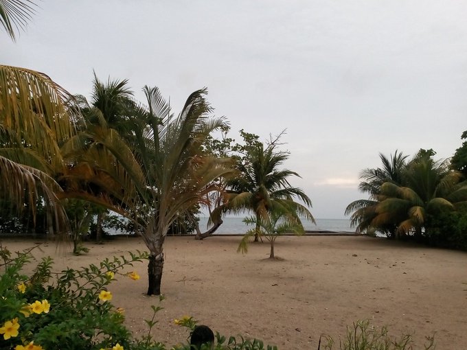 I love this place so much, feel surrounded by life here https://t.co/3wh0vEHsvS<a href="/tag/sex"class="tags"><span>#sex</span></a><a href="/tag/fetish"class="tags"><span>#fetish</span></a><a href="/tag/skypeshows"class="tags"><span>#skypeshows</span></a>