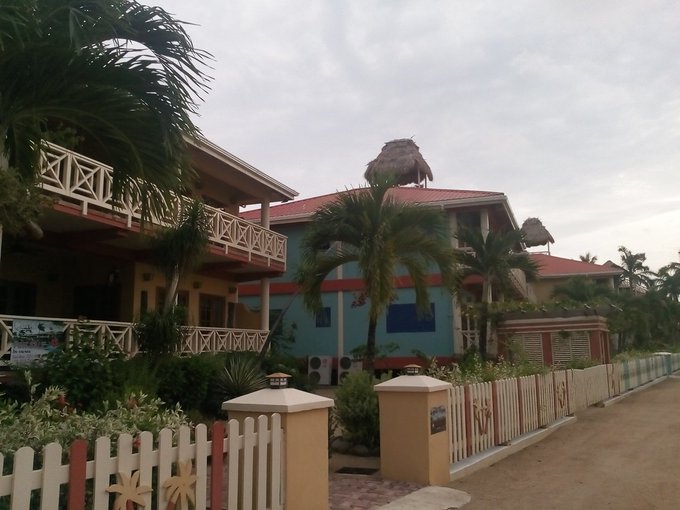 I love this place so much, feel surrounded by life here https://t.co/3wh0vEHsvS<a href="/tag/femdom"class="tags"><span>#femdom</span></a><a href="/tag/strapon"class="tags"><span>#strapon</span></a><a href="/tag/camshows"class="tags"><span>#camshows</span></a><a href="/tag/skype"class="tags"><span>#skype</span></a>