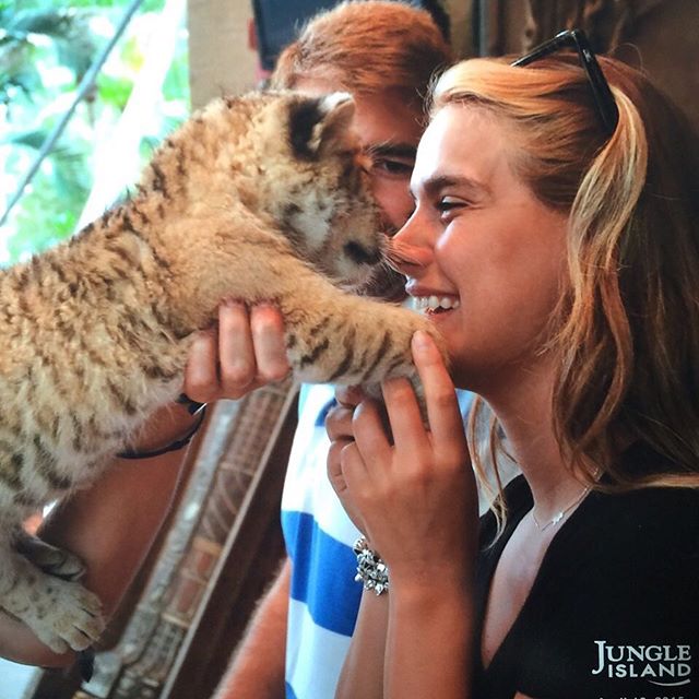 official_ates's tweet photo. Bir küçücük aslancık varmış🦁 #miami #jungleisland https://t.co/zYmXGP8jJZ