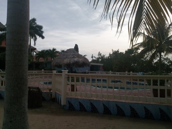 I love this place so much, feel surrounded by life here https://t.co/3wh0vEHsvS<a href="/tag/femdom"class="tags"><span>#femdom</span></a><a href="/tag/strapon"class="tags"><span>#strapon</span></a><a href="/tag/camshows"class="tags"><span>#camshows</span></a><a href="/tag/skype"class="tags"><span>#skype</span></a>