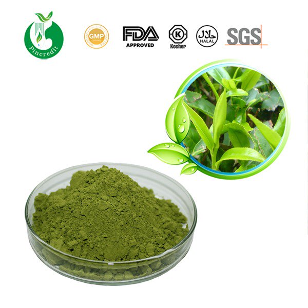 herbsextract's tweet photo. Matcha is rich in nutrients and trace elements,tea polyphenols, caffeine. At present, it is very popular among the world's young consumers. https://t.co/peZGx7KagU