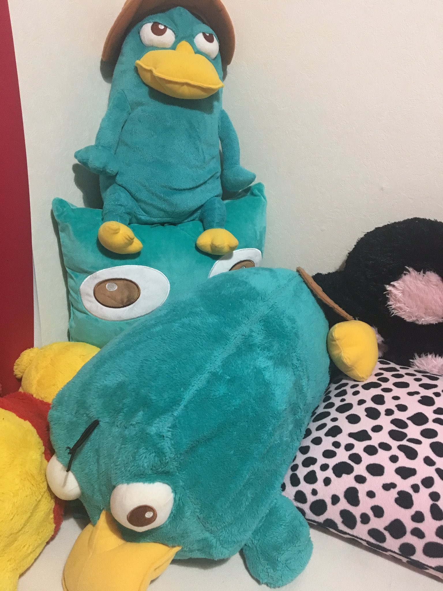 ふっ ホイミン Twitter પર 今日も安定にdvd借りてきた ディズニーで何よりも大好きなフィニアスとファーブ そこでうちにいるペリーとエージェントpを紹介しましょう 小さいのもちらほらたくさんいるんだけど 大きいのだけ もっとたくさんペリー欲しい