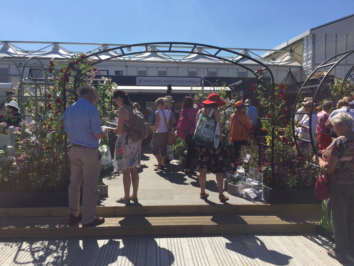 Another sunny &amp; busy day at #RHSChelsea2017 for our Marketing Manager at the <a href="/HarrodHort/">Harrod Horticultural</a> stand featuring our product 'Basalto', Granito.