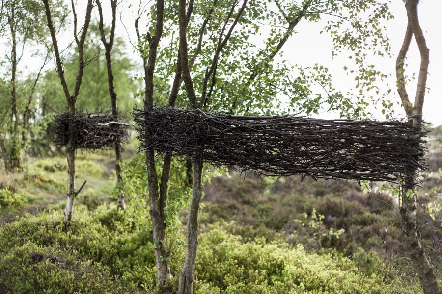 NatsHolbrook's tweet photo. The install has been a fabulous burst of outdoor energy &amp; creativity, been loving it!:) Meet Conservation Horizons on your spring walk! https://t.co/HchzWaPvjF