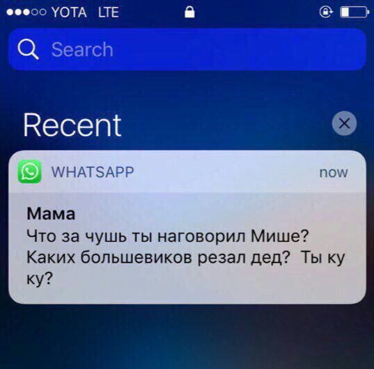 Мама хомяка Навального запалила перепиську.