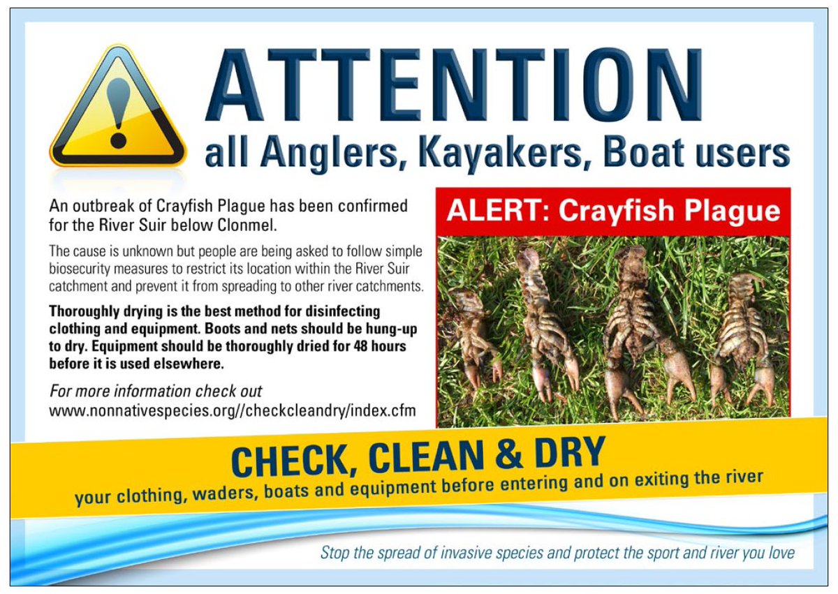 Boating users / fishermen urged to help prevent spread of Crayfish Plague in River Suir  wp.me/p7mV1y-cX #waterford
