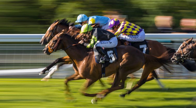 Today's Short Price NAP Bet Is - Mother of Dragons In The 2.00 At Goodwood dld.bz/FreeRacing