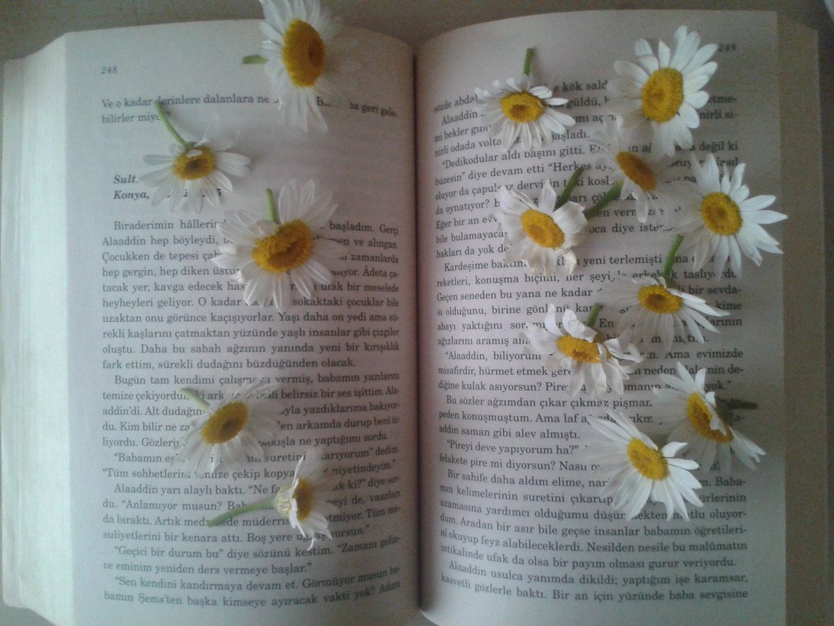 Kitap okurken gülücüklerinizden papatyalar dökülsün kitaba..🌼🌼🌼