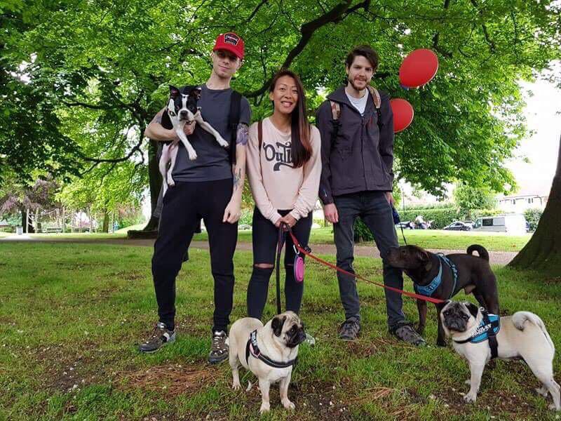 bandvtrading's tweet photo. Here's a few of the cute pooches that joined us for #moochwithyapooch we're at the fab @altymarket 9-4pm Saturday & Sunday this weekend 🐾 https://t.co/YNafyQjDYO
