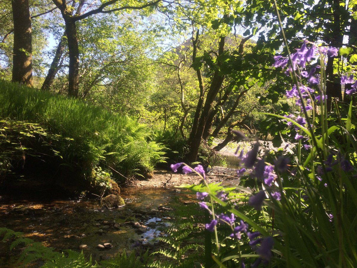 lastwilderness1's tweet photo. Not a bad office view! Filming with @FolkFilms on the #riverwye https://t.co/dnCuHcc27u