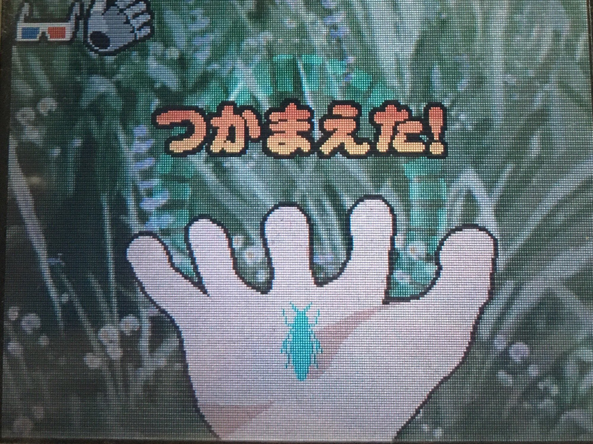 昆虫採集者が本気でプレイした昆虫採集のゲーム 虫とり王国 近況など