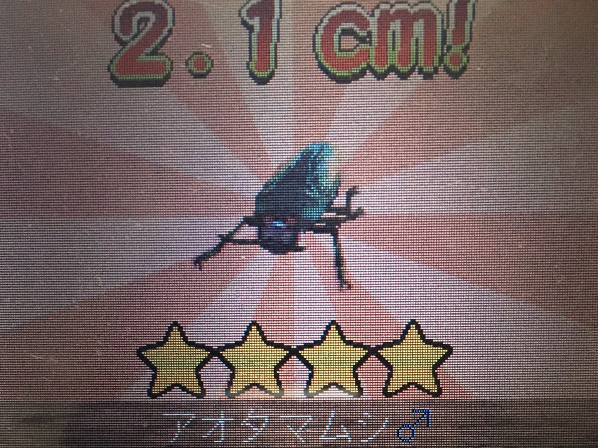昆虫採集者が本気でプレイした昆虫採集のゲーム 虫とり王国 近況など