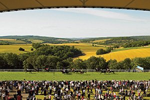 _nigelridgway's tweet photo. Beautiful view over the Sussex Downs. Hoping this trio can make it a picture-perfect: https://t.co/yPydgERHJa #Goodwood #tips https://t.co/lENT1FaPBR