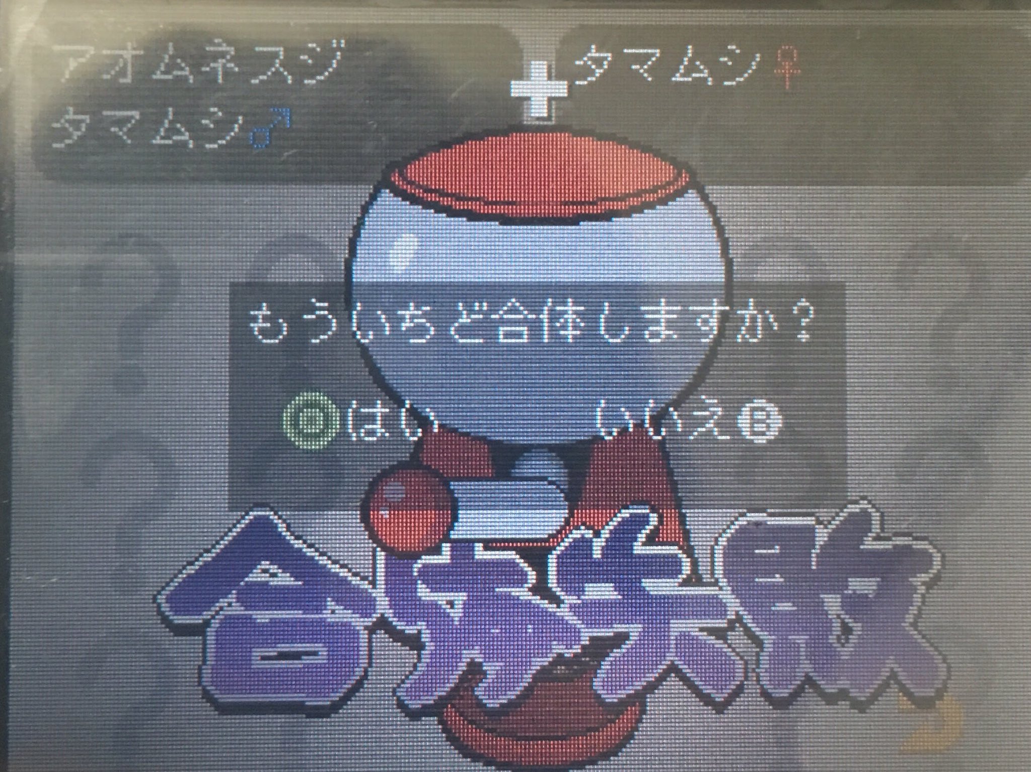 昆虫採集者が本気でプレイした昆虫採集のゲーム 虫とり王国 近況など