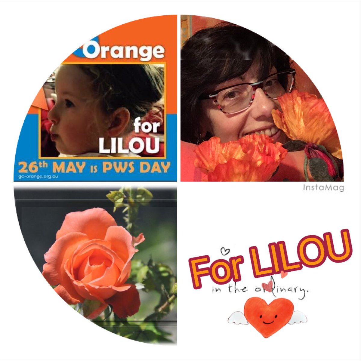 Minigirl_A's tweet photo. For Lilou
#goorangeforpraderwilli
#unpetitpas2017 #mayispraderwilliawrenessmonth #livelifefull #hungryforacure
https://t.co/Vri9ZXXwIR https://t.co/yvAXieG8M9