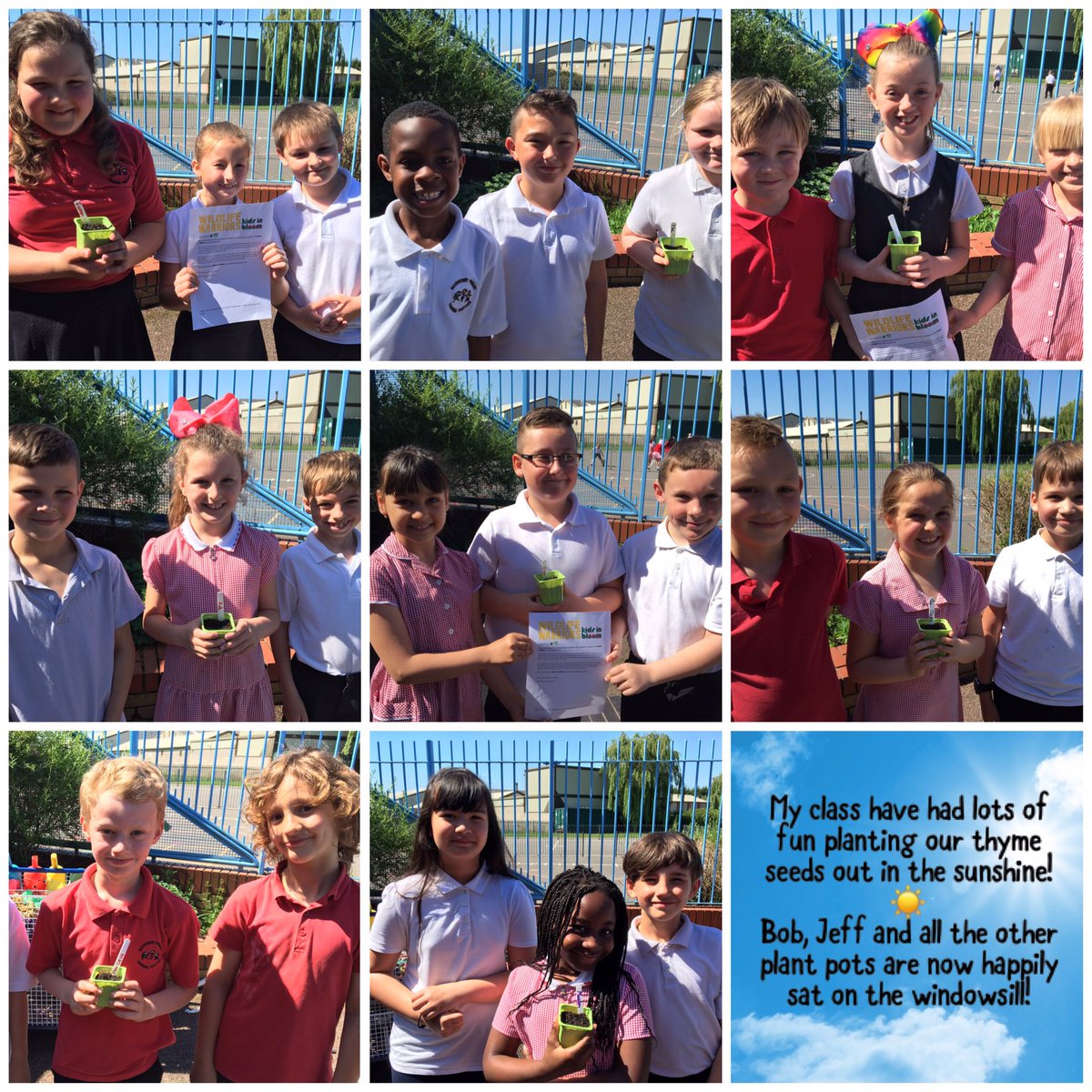 MrsBullock_'s tweet photo. Lovely day for getting involved with #ourbloom @BPSinBloom @BoothferryPS https://t.co/bE84Pegn5v