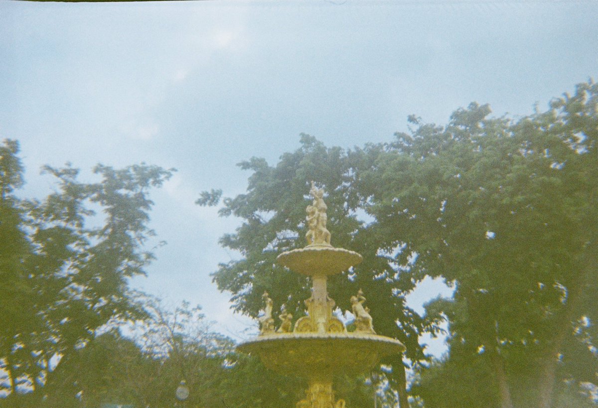 シロブルー tweet media