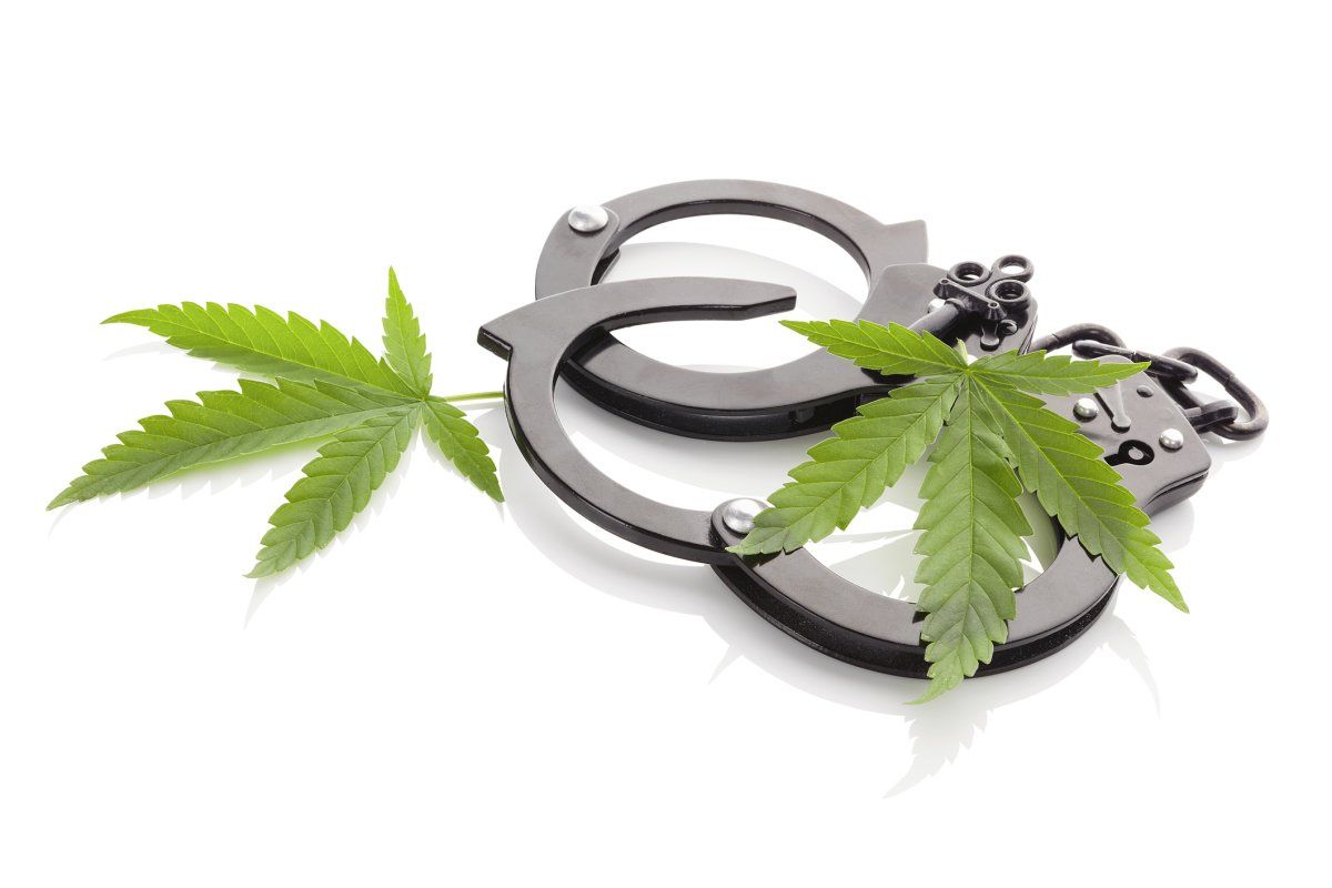 OARjustice's tweet photo. In Arlington, the "black arrest rate is eight times the white arrest rate" for marijuana arrests.  https://t.co/ljwj0oZ2MA https://t.co/rsRRswa2dU