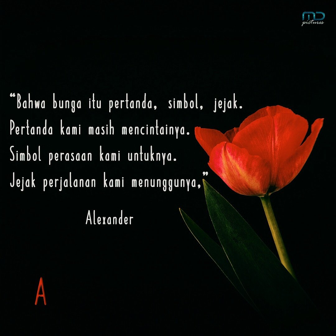 MattNMou's tweet photo. Bunga itu merupakan jejak simbol perjalanan cinta 'Alex' @brandonicholas @MD_Pictures #QuotesA 😊 https://t.co/L8wzgVap4k