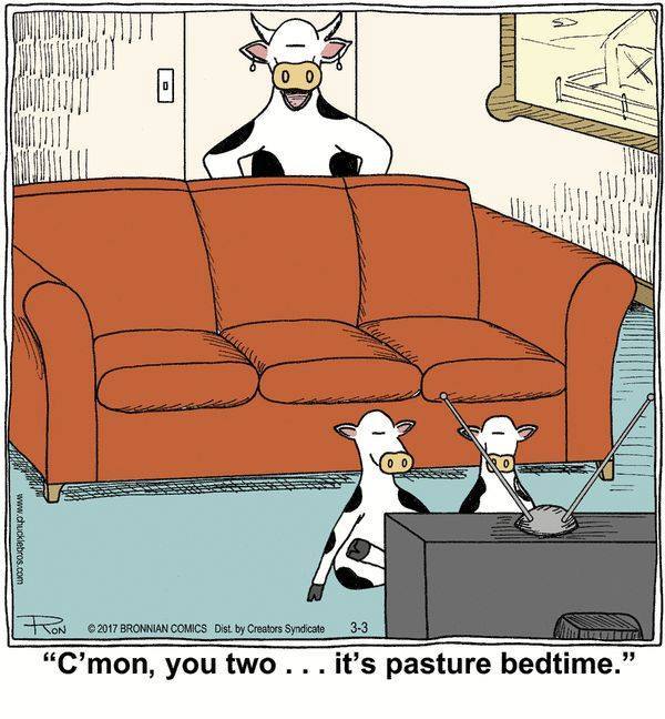 Hope you didn't stay up pasture bedtime!!

Wishing everyone a Happy Friday!!