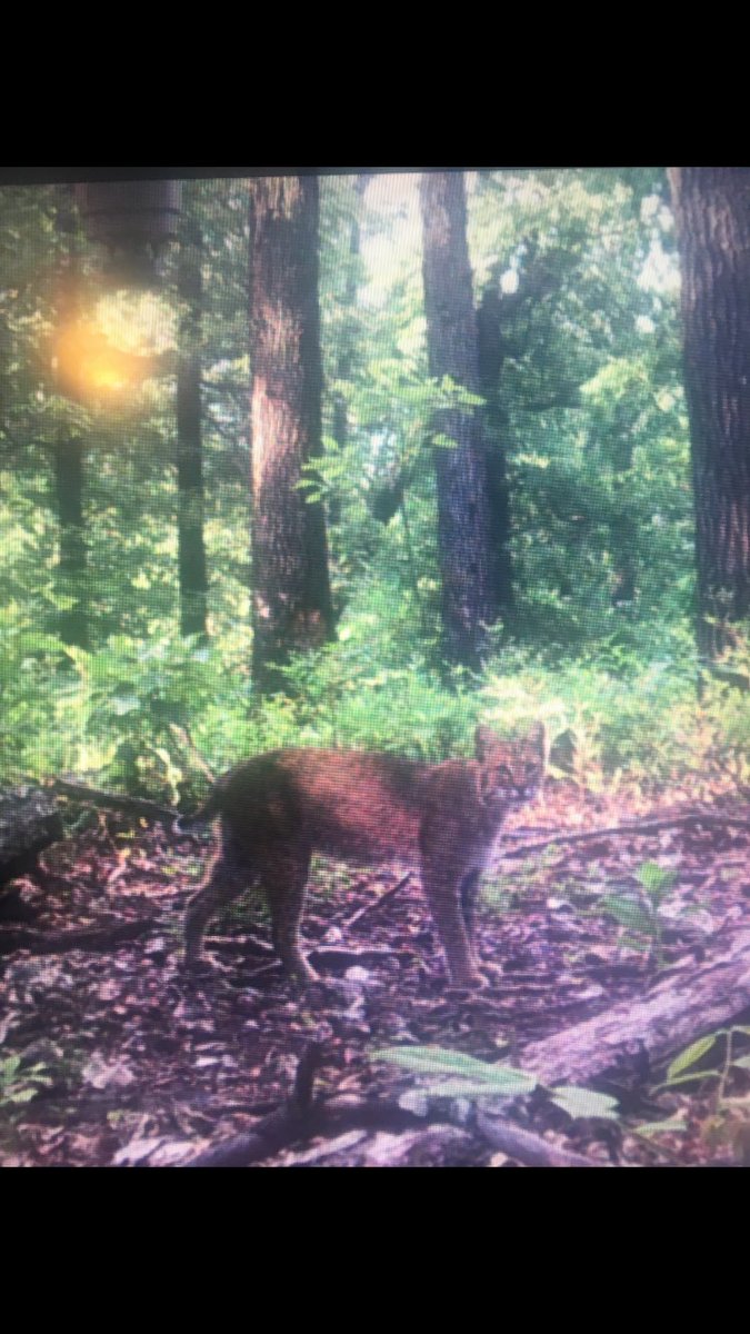 Cory Eubanks (@cscotteubanks) on Twitter photo 