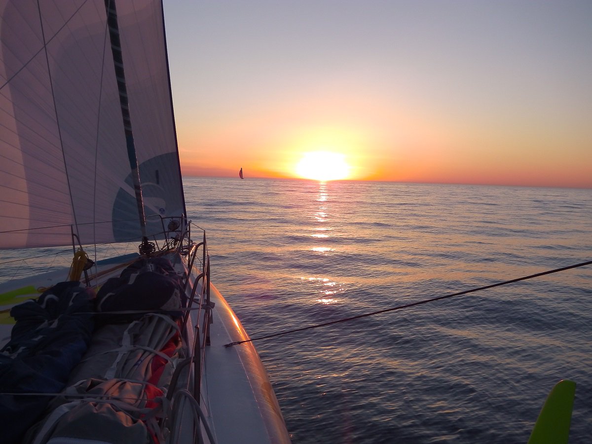 Safran Sailing Team tweet media