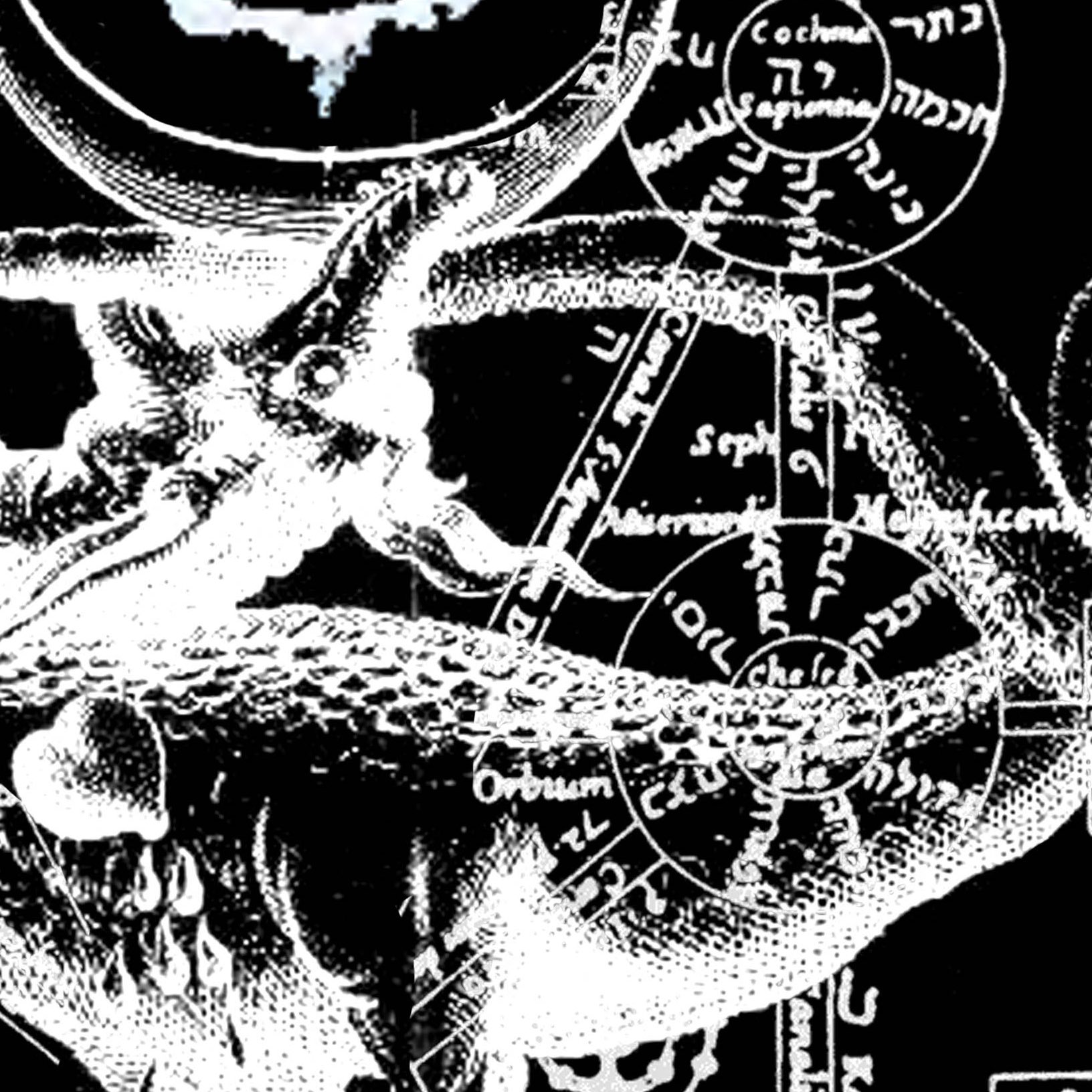 瀕死衣料カルトニア Dying Clothing Cultnia On Twitter Zay 1stアルバム Cry For The Moonに合わせて Zay 瀕死衣料カルトニアのコラボtシャツをデザインさせて頂きました デザインは殆ど出来あがってますが完全てではないので一部イメージのみ レコ発ライブより