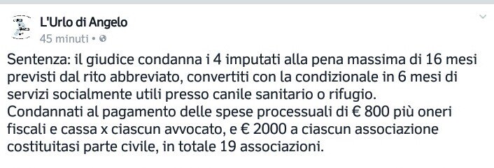 Risultati immagini per l'urlo di angelo pagina facebook