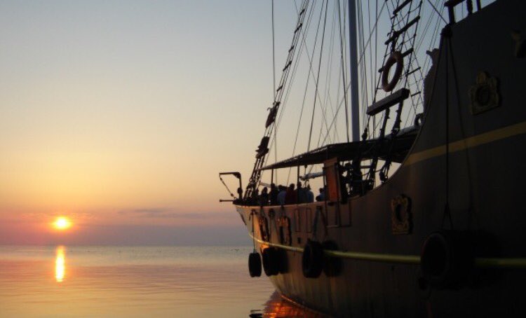 RealSaltLife's tweet photo. Work hard like a Captain, party like a Pirate ⚓️ #TGIF #FridayFeeling #PiratesLife 

RT, like and tag for @RealSaltLife #weekend #swag 🏝 https://t.co/cgQfJYyMnb