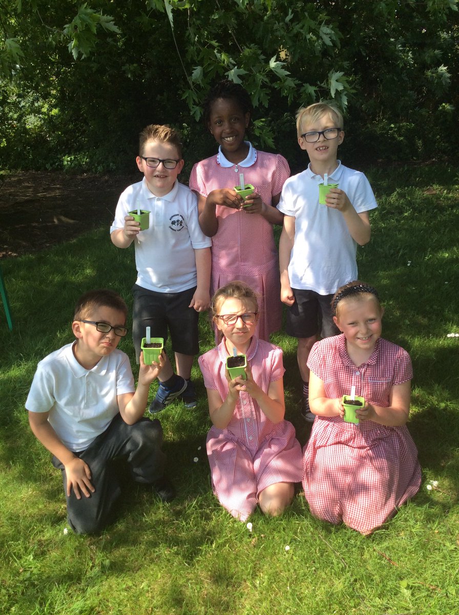 MrsManson1GM's tweet photo. Lots of fun planting parsley ready for our wildlife garden 🌻🌿🐞🦋@BoothferryPS @missrefoster https://t.co/oLFgtmXfKY