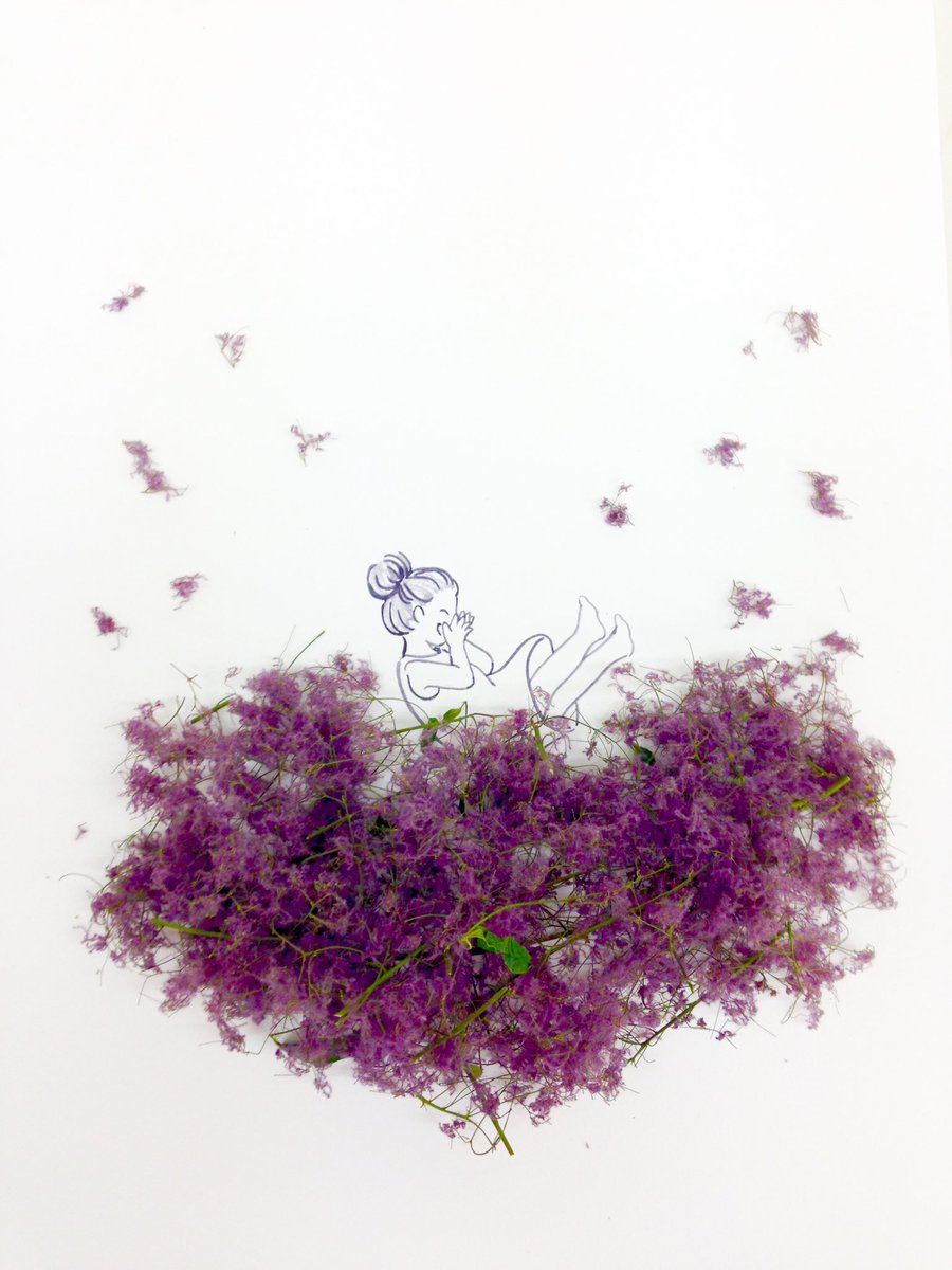 はな言葉 新刊出ました スモークツリー 煙の木 が萎れてきたので絵を描きました 花言葉は はかない青春 煙に巻く 憂い チュチュスカート 雲のベッド インドの聖人サイババさん はな言葉 新刊出ました スモークツリー 煙の木 が萎れてきたので絵を描きました 花言葉は はかない青春 煙に巻く 憂い チュチュスカート 雲のベッド インドの聖人サイババさん
