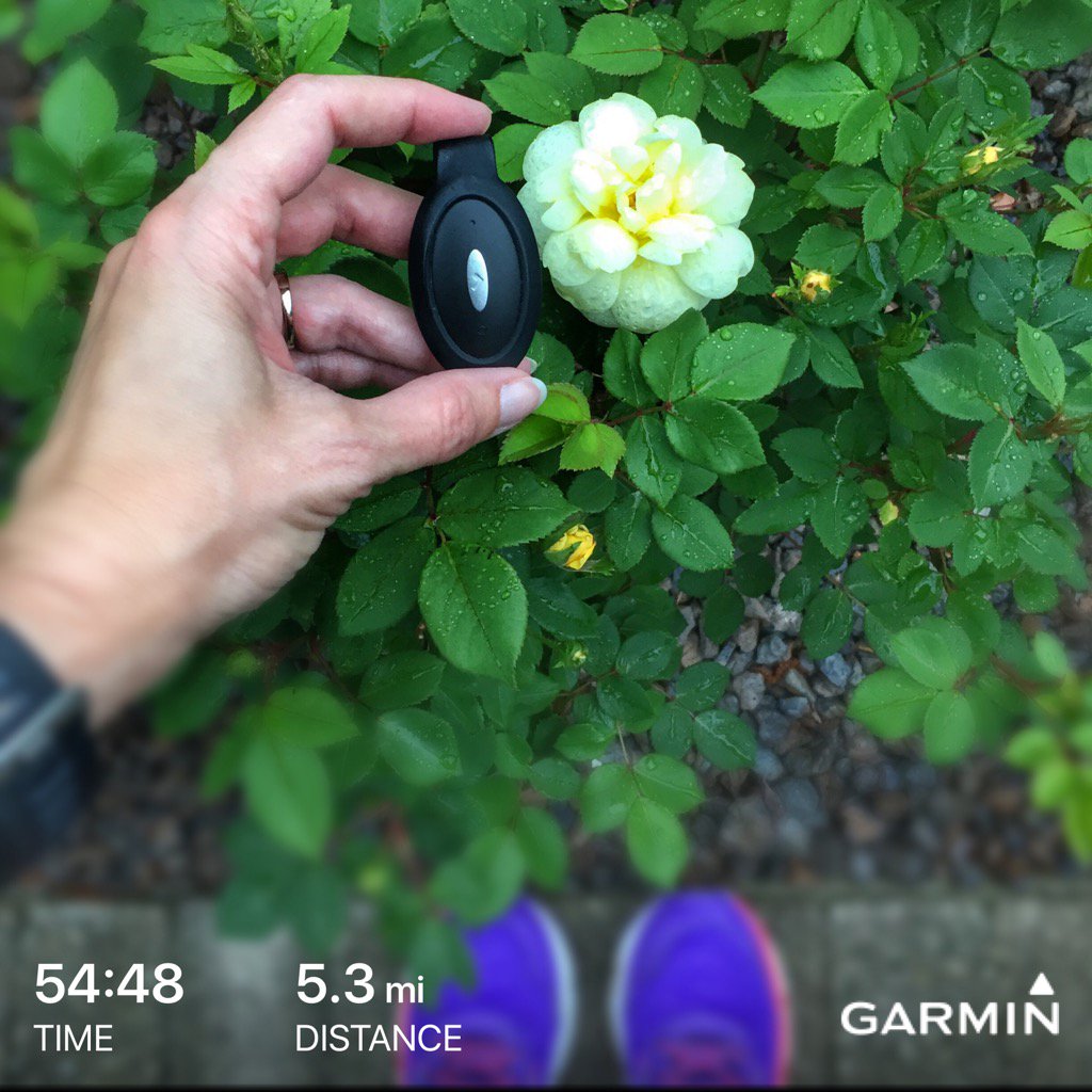 Di_Mo5's tweet photo. #beatyesterday #garmin #lumorun #fabfriday #runchat https://t.co/UzvXJPkBJ5