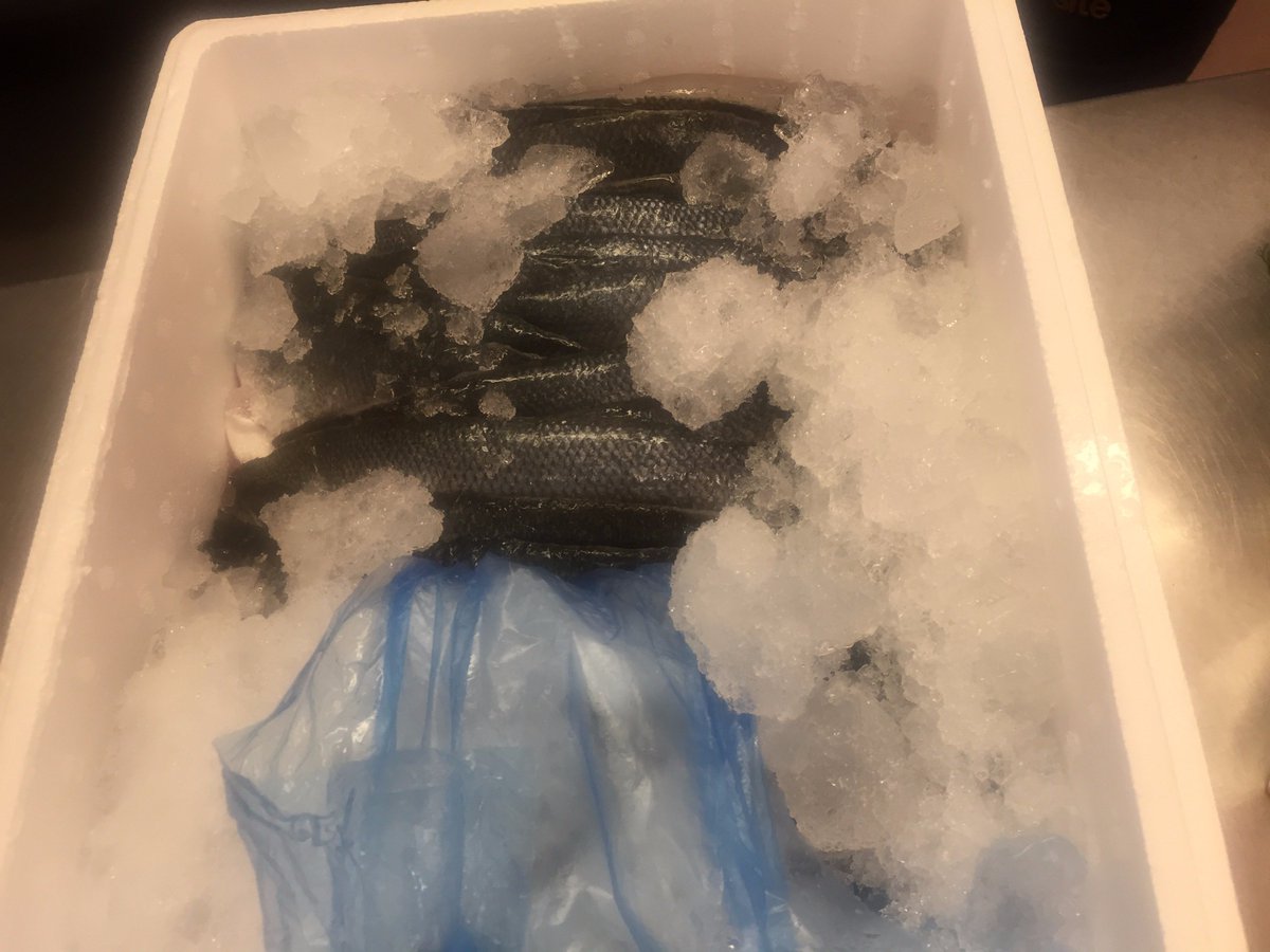 queenheadberwic's tweet photo. Here's hoping for a busy weekend just delivered Berwick lobster, salmon, monkfish, chunky cod, king scallops &amp; lemon sole. #lovefreshfish https://t.co/T9rspdt2TW