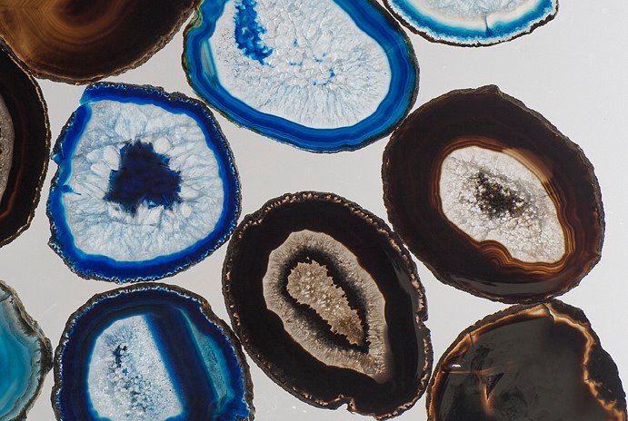 Trunk Home tweet media