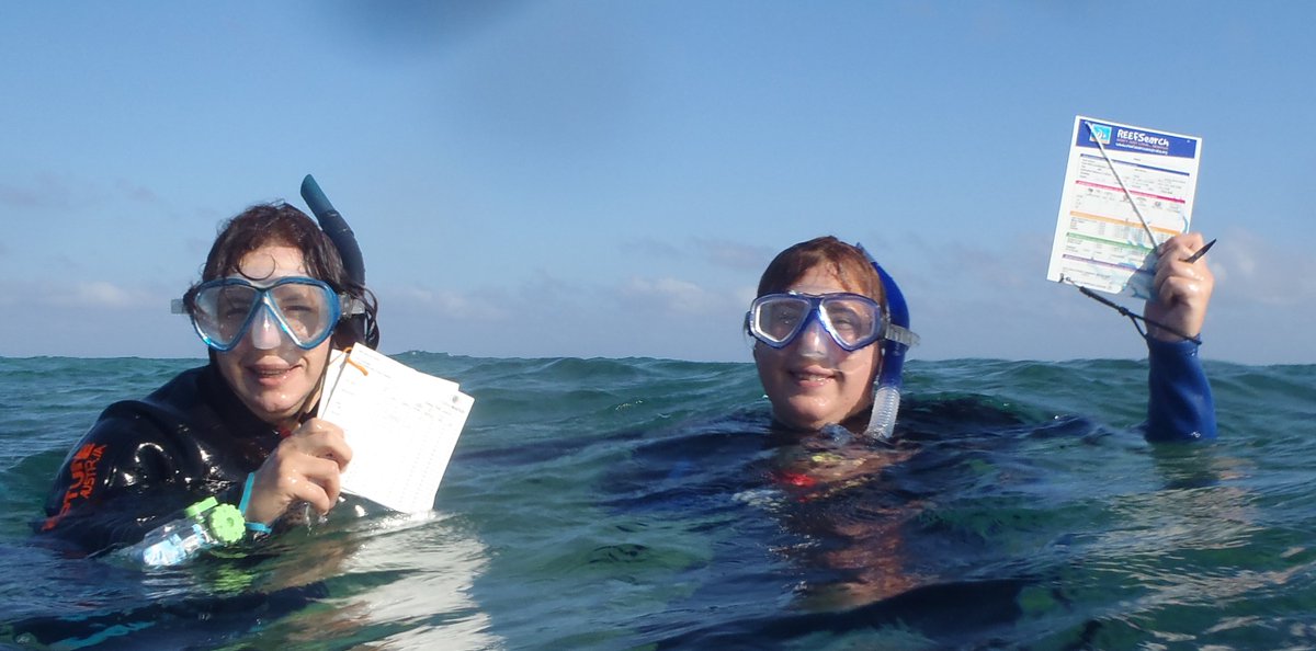 Coral_Watch's tweet image. great collaborative effort  #citzenscience @ReefCheckAus @EcoVisUQ   @gbr_csa
