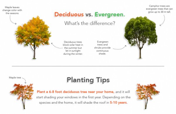 DOECMEI's tweet photo. Celebrate #MemorialDay with some energy efficient landscaping. See the #infographic https://t.co/4Pw2LwSMtF https://t.co/IgvLJJlfpU