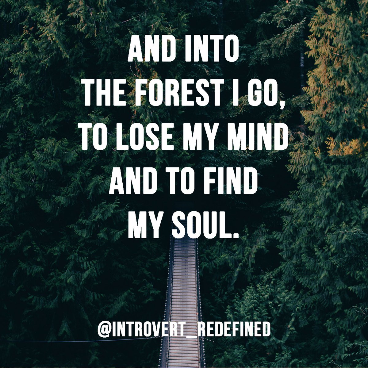 IntRedefined's tweet image. Find that place and make it yours. #introvert #infp #intj #infj #intp Follow me on insta @introvert_redefined